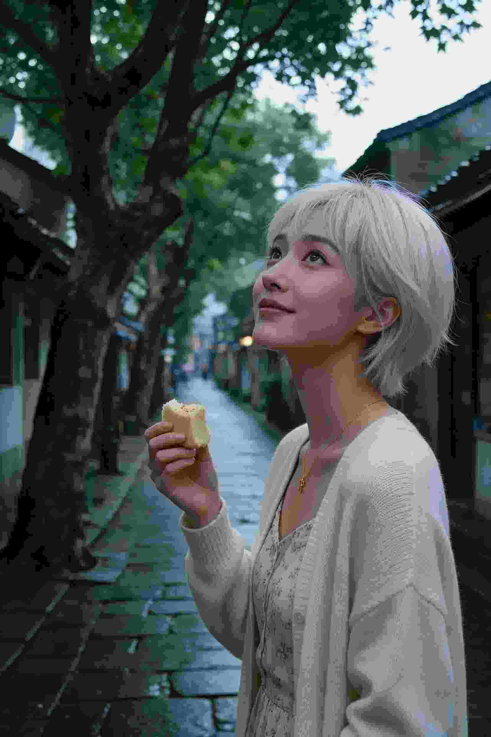 总裁的冤家
